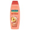 <h1>Palmolive Hydra Balance 2v1 Broskyňa šampón 350ml</h1> Palmolive Hydra Balance 2v1 Broskyňa šampón 350ml