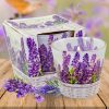 Bartek Candles Lavender Basket vonná sviečka 115g