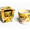Bartek Candles French Vanilla vonná sviečka 115g