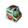 Miral  Christmas Decor sviečka 80g